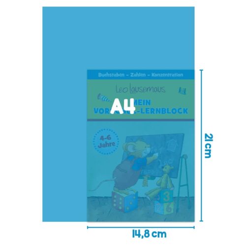 Blauer Buchumschlag mit einer Cartoon-Maus, die auf eine Tafel schreibt, beschriftet im Format A4.