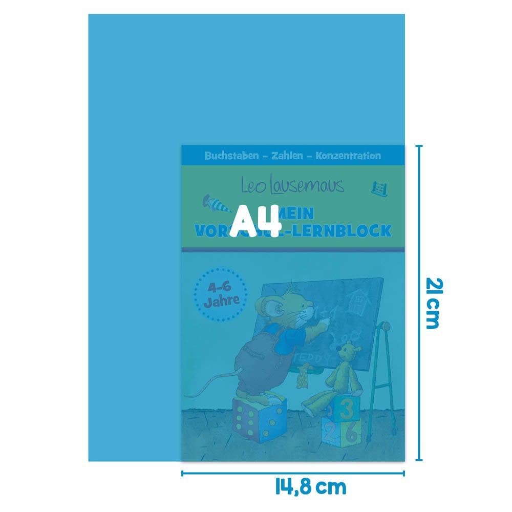 Blauer Buchumschlag mit einer Cartoon-Maus, die auf eine Tafel schreibt, beschriftet im Format A4.