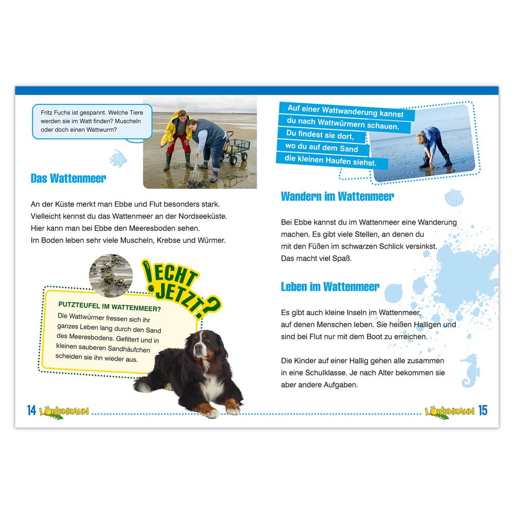 Eine Kinderbuchseite über das Wattenmeer mit Abbildungen von Menschen, einem Hund und deutschem Text.