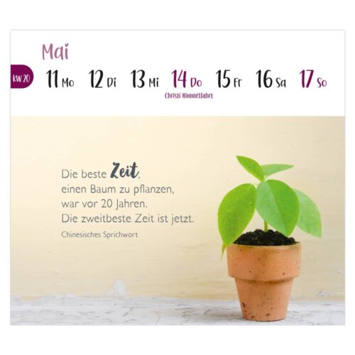 Postkartenkalender 2026 – Viele kleine Herzmomente