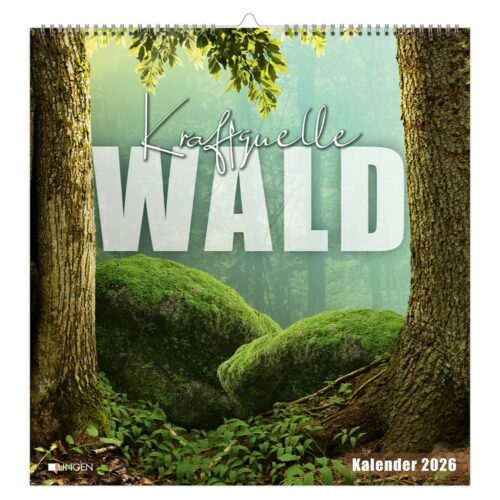 Dekokalender 2026 - Kraftquelle Wald
